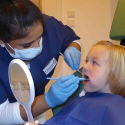 Zahnarztpraxis Dr. Groß Prophylaxe
